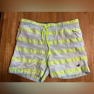 Swim Shorts